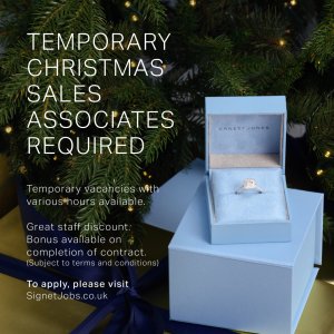 Ernest Jones seasonal vacancies